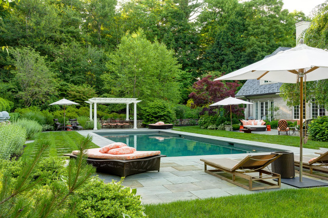 Mature landscape planting around a residential pool